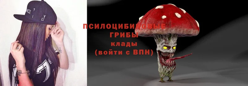 Псилоцибиновые грибы Psilocybe  Димитровград 